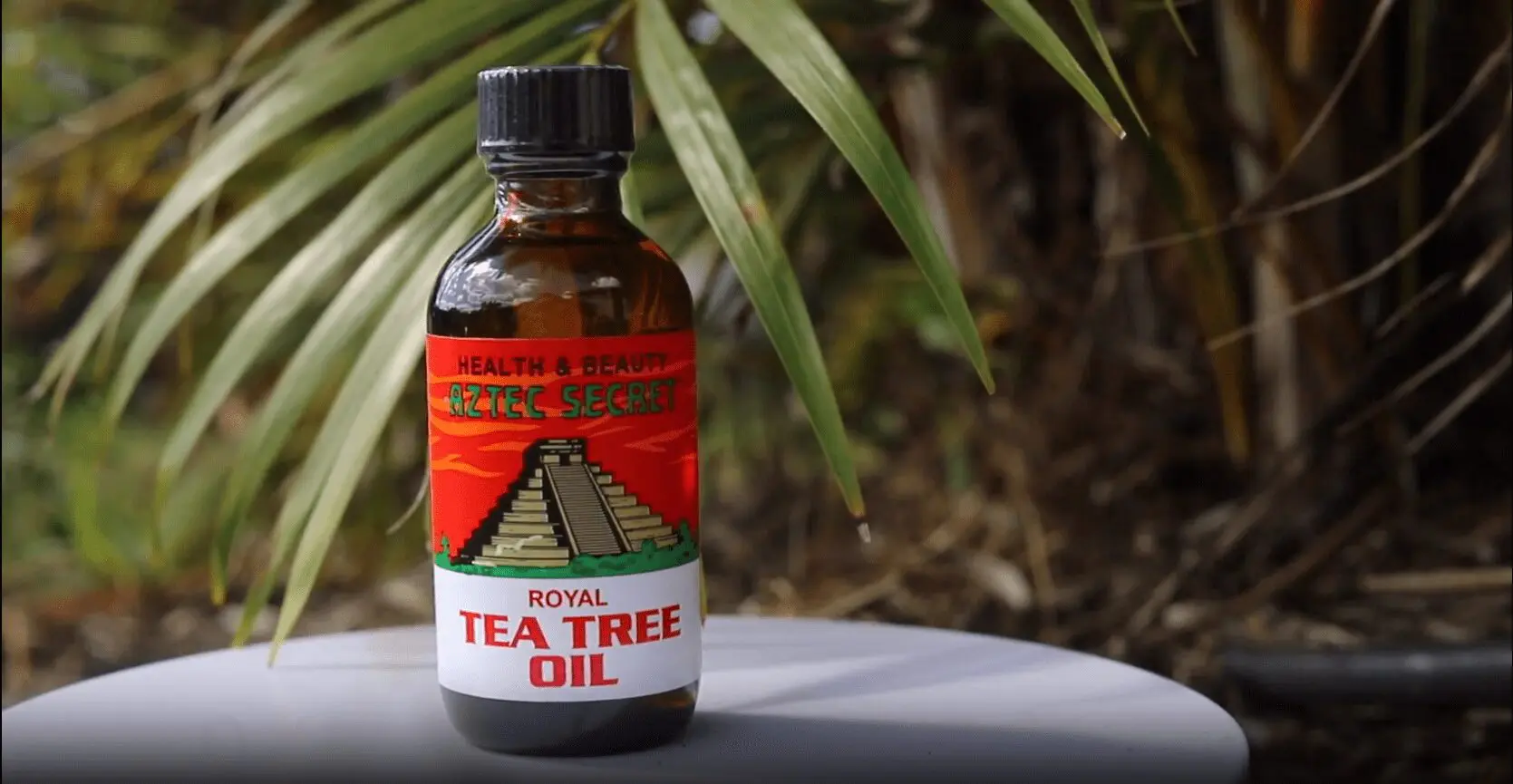 Royal Tea tree Oil