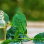 Tea Tree Essential Oil | Aztec Secret Health & Beauty LTD