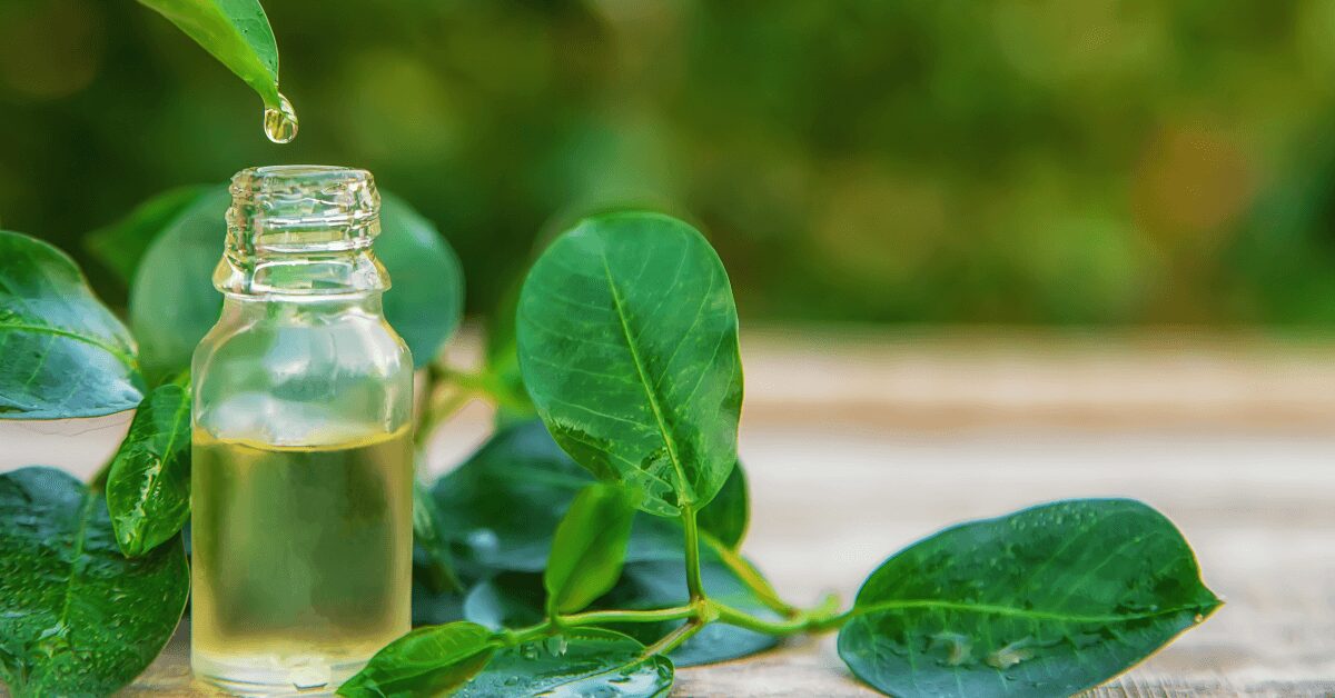 Tea Tree Essential Oil | Aztec Secret Health & Beauty LTD