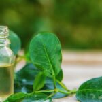 Tea Tree Essential Oil for Household Cleaning: A Safer Alternative | Aztec Secret Health & Beauty LTD