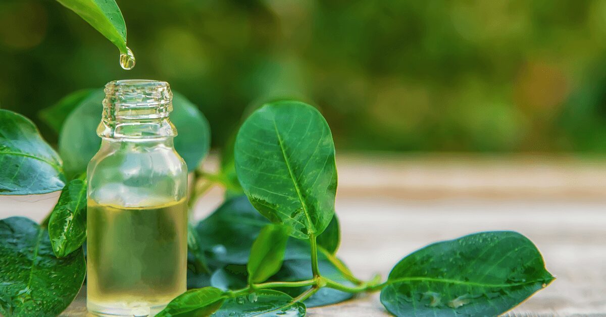 Tea Tree Essential Oil for Household Cleaning: A Safer Alternative | Aztec Secret Health & Beauty LTD