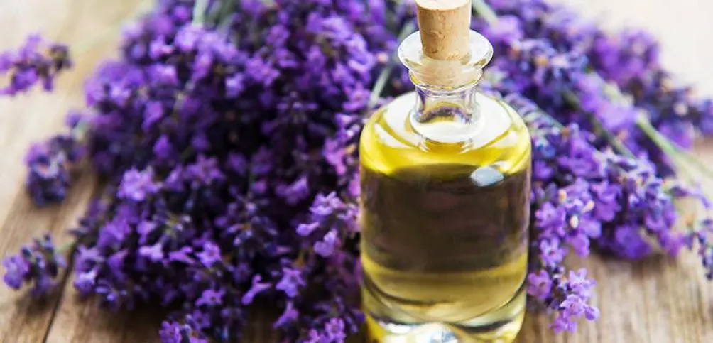 The Truth About Essential Oils